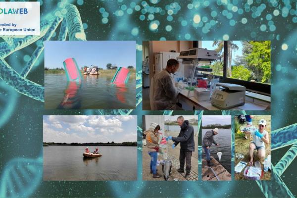 Noc istrazivaca_baner_website.jpg